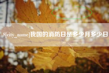 安阳我国的消防日是多少月多少日