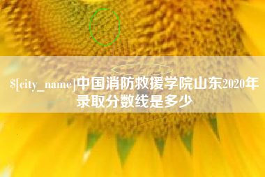 安阳中国消防救援学院山东2020年录取分数线是多少