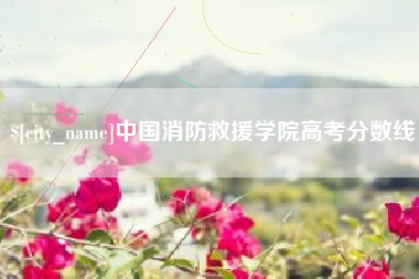 安阳中国消防救援学院高考分数线