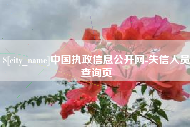 安阳中国执政信息公开网-失信人员查询页