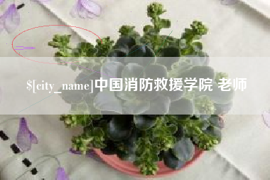 安阳中国消防救援学院 老师