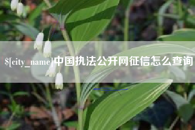 安阳中国执法公开网征信怎么查询
