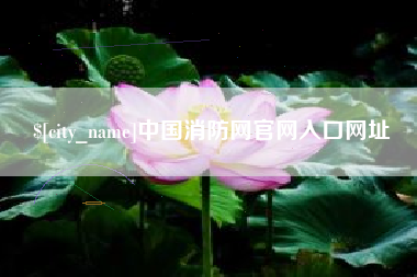 安阳中国消防网官网入口网址