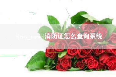 安阳消防证怎么查询系统