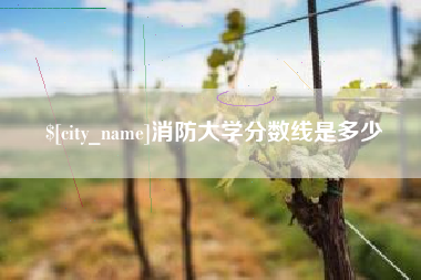 安阳消防大学分数线是多少