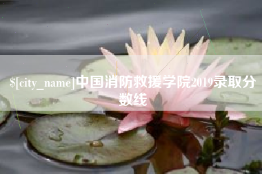 安阳中国消防救援学院2019录取分数线