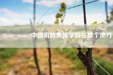安阳中国消防救援学院在那个地方