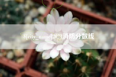 安阳2021消防分数线