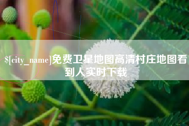 安阳免费卫星地图高清村庄地图看到人实时下载