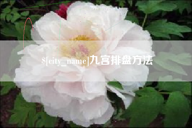 安阳九宫排盘方法