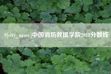 安阳中国消防救援学院2018分数线