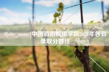 安阳中国消防救援学院2020年各省录取分数线