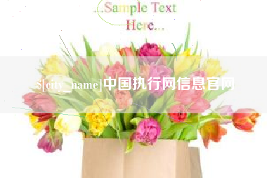 安阳中国执行网信息官网