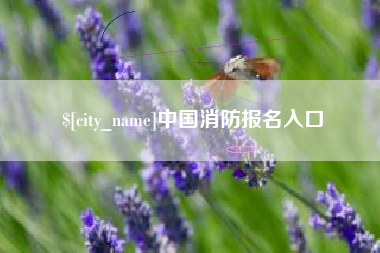 安阳中国消防报名入口