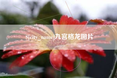 安阳九宫格龙图片