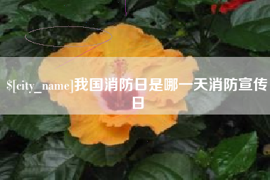 安阳我国消防日是哪一天消防宣传日