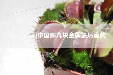 安阳中国哪九块金牌最厉害的