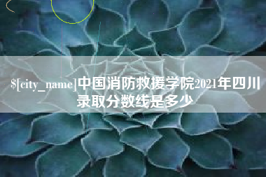 安阳中国消防救援学院2021年四川录取分数线是多少