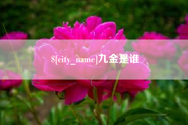 安阳九金是谁