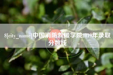 安阳中国消防救援学院2019年录取分数线