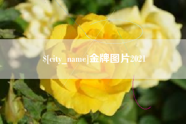 安阳金牌图片2021