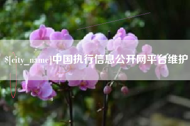 安阳中国执行信息公开网平台维护