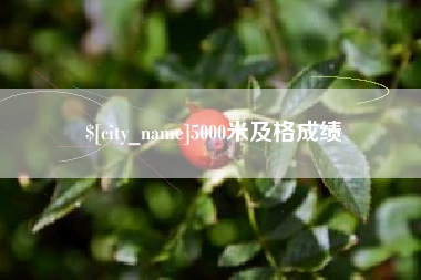 安阳5000米及格成绩