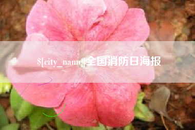 安阳全国消防日海报