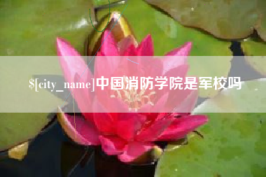 安阳中国消防学院是军校吗