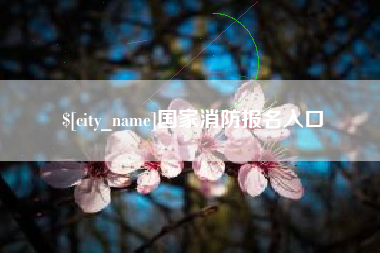 安阳国家消防报名入口