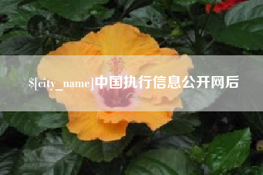 安阳中国执行信息公开网后