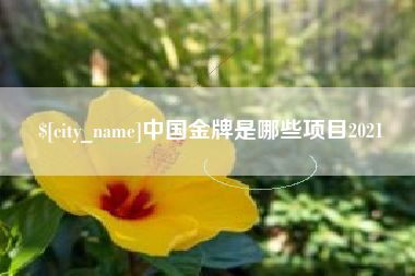 安阳中国金牌是哪些项目2021