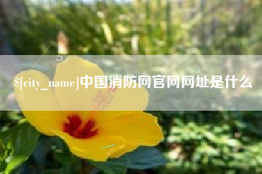 安阳中国消防网官网网址是什么