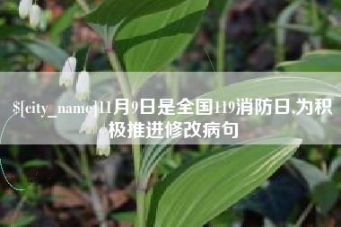 安阳11月9日是全国119消防日,为积极推进修改病句