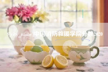 安阳中国消防救援学院分数2020