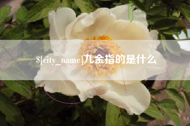 安阳九金指的是什么