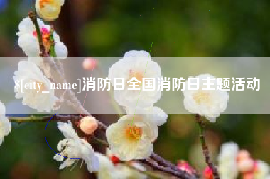 安阳消防日全国消防日主题活动