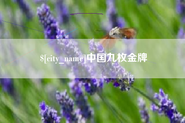 安阳中国九枚金牌
