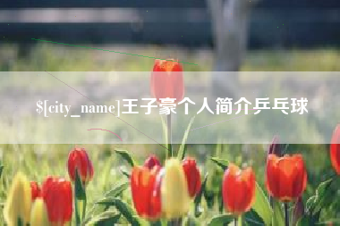 安阳王子豪个人简介乒乓球