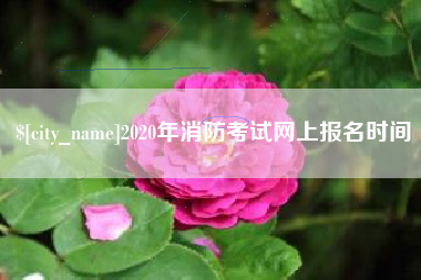 安阳2020年消防考试网上报名时间
