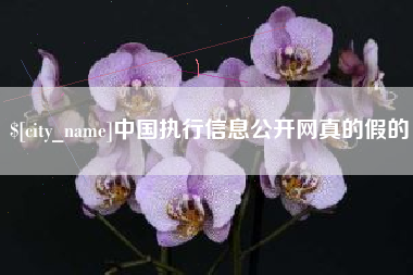 安阳中国执行信息公开网真的假的