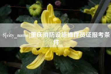 安阳重庆消防设施操作员证报考条件