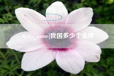 安阳我国多少个金牌