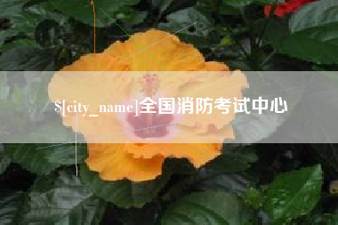 安阳全国消防考试中心