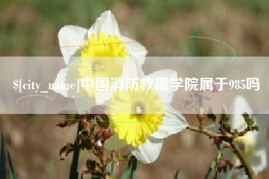 安阳中国消防救援学院属于985吗