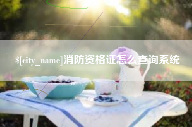 安阳消防资格证怎么查询系统