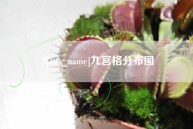 安阳九宫格分布图