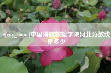 安阳中国消防救援学院河北分数线是多少