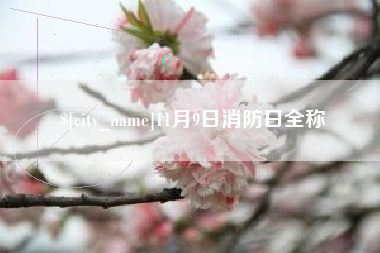 安阳11月9日消防日全称