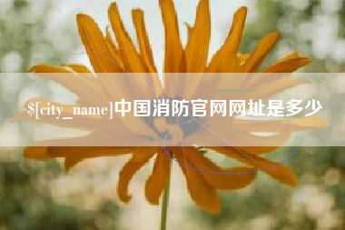 安阳中国消防官网网址是多少